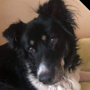 Meet your Posher, Nina